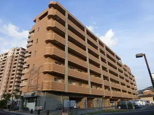 エヌハイムの画像