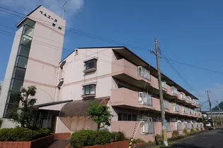 ベルエーヌ野洲【3階】の外観