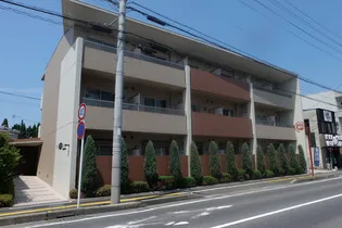 ルシールラホーヤの画像