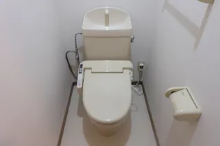 ロジュマンコシノハラ【1階】の内装