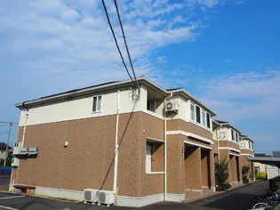 フリージアの画像