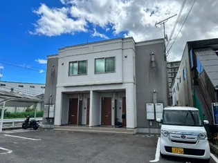 パインフィールド松の画像