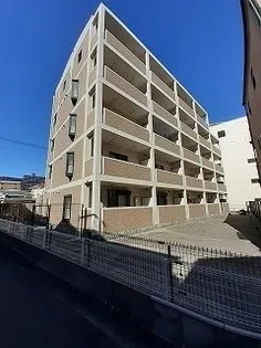 プラシードの画像