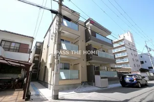 NOA SIONの画像