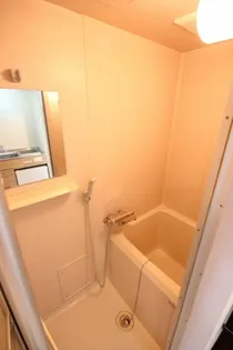 Le・Blanche【308号室】の風呂