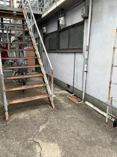 泉南文化の画像