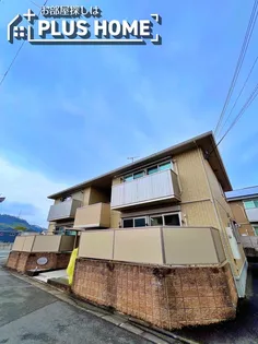 ウィットNの画像