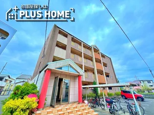 トゥリパーノの画像