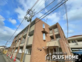 ハピネスの画像