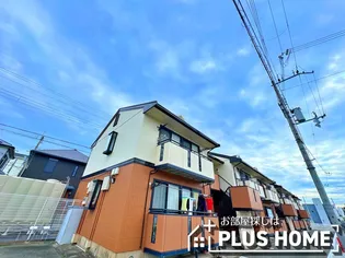 アルブルの画像