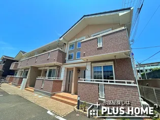 ソレイユT Dの画像