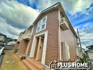 シャイニング ベルの画像