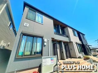 ステッラⅡの画像