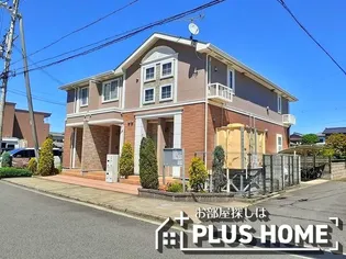 コンソラトゥールコヤの画像