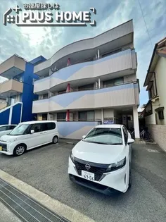 シーグレイスの画像