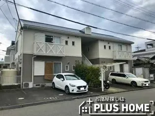 フレグランス蘭の画像