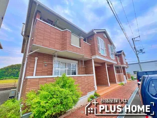 クレメントAの画像