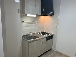 リビングタウン紀三井寺 A棟【1階】のキッチン