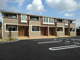 ラウレレ ヒラの画像