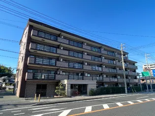 カレンエビツの画像