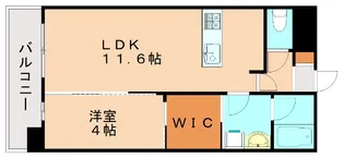 プログレス赤間駅前【8階】の間取り
