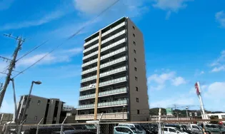 ブルーミント22の画像