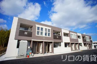 山椿 Bの画像