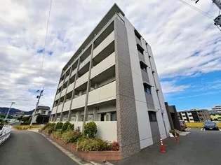 カトレアIIの画像