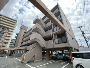 プリマベーラ波多江の画像