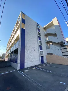 ルミナスSTの画像