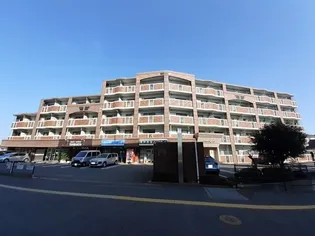 プリマヴェーラの画像