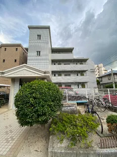 ピュア生の松原の画像