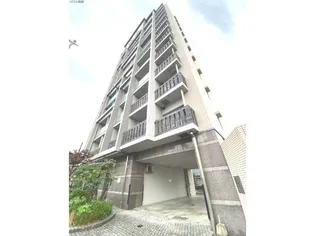 サヴォイ ザ ブルネットの画像