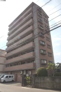 ラフィネ荒江の画像