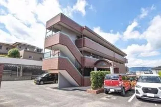 リバーパーク梅林の画像