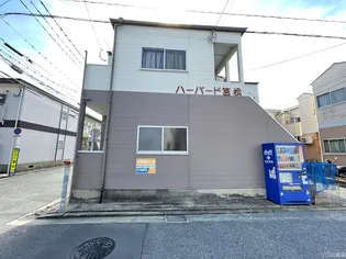 ハーバード筥松の画像