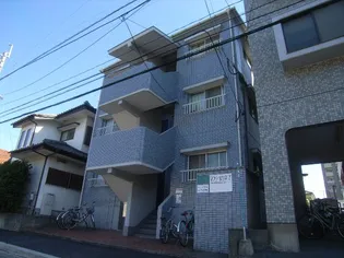 マンリーポロネーズの画像