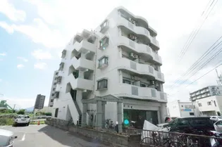 ホワイトハウスの画像