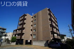 オイコス ケイの画像