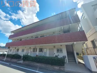 ウィステリア9の画像