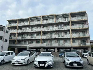 オータムレーベンの画像