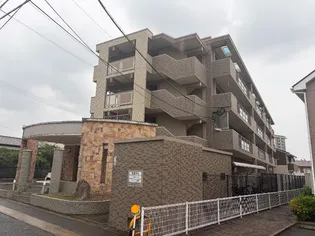 ドミール和白丘の画像