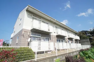 ヒルズの画像