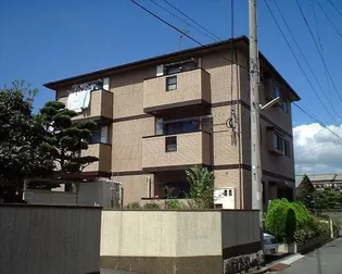 フォーブルの画像