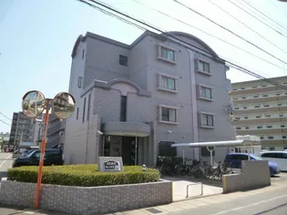 フレックス20の画像