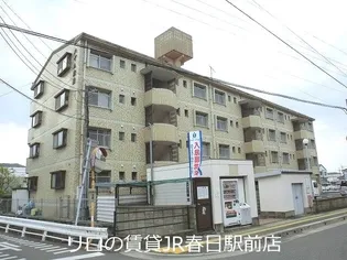 ハイム渡辺の画像