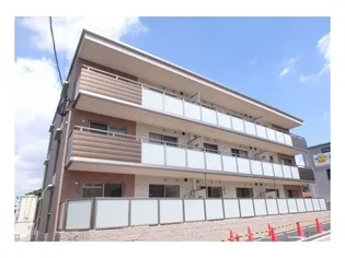 プルヌス コリーヌの画像