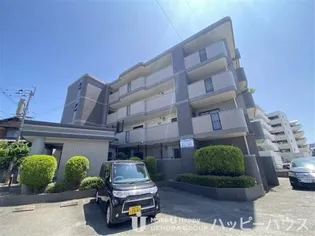 ディナスティⅤの画像