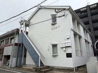 コスギⅤの画像