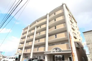 アム フルッスの画像